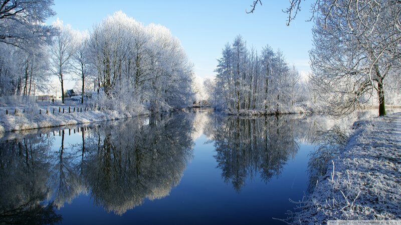 Frozen River with Trees — Blue