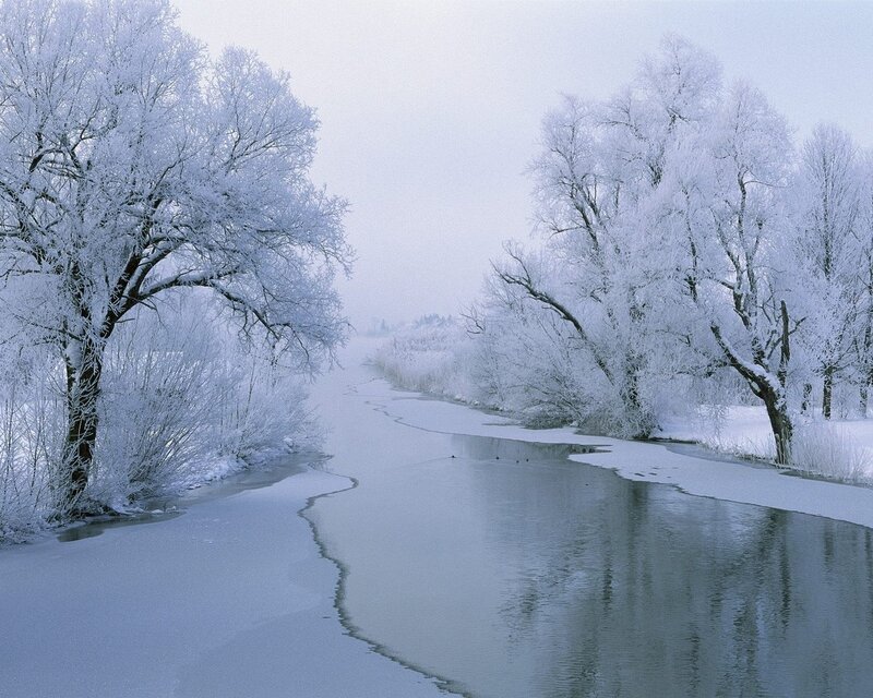 Frozen River with Trees