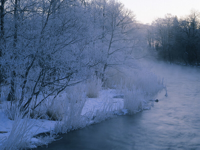 Frozen Riverbank — Blue, Cold