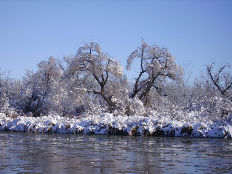frozen riverbank in winter