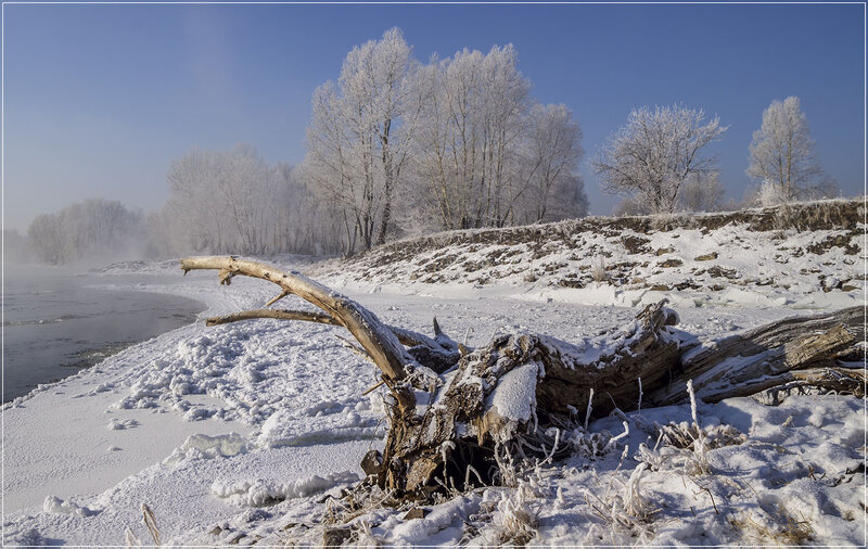 Frozen Riverbank — White, Cold