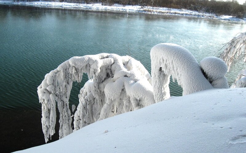 Frozen Riverbank — White, Cold, Winter, Photograph, River