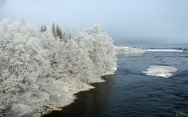 Frozen Riverbank — White, Cold, Winter, Photograph, River, Trees