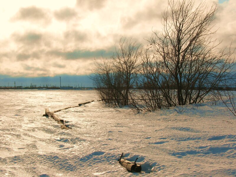 Frozen Riverbank — White, Cold, Winter