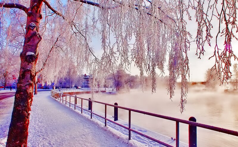 Frozen Riverbank — White