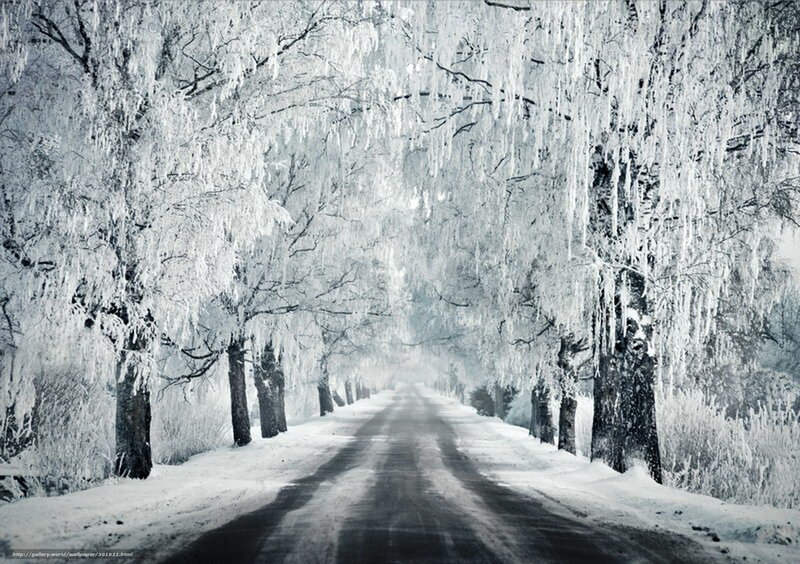 frozen road in winter