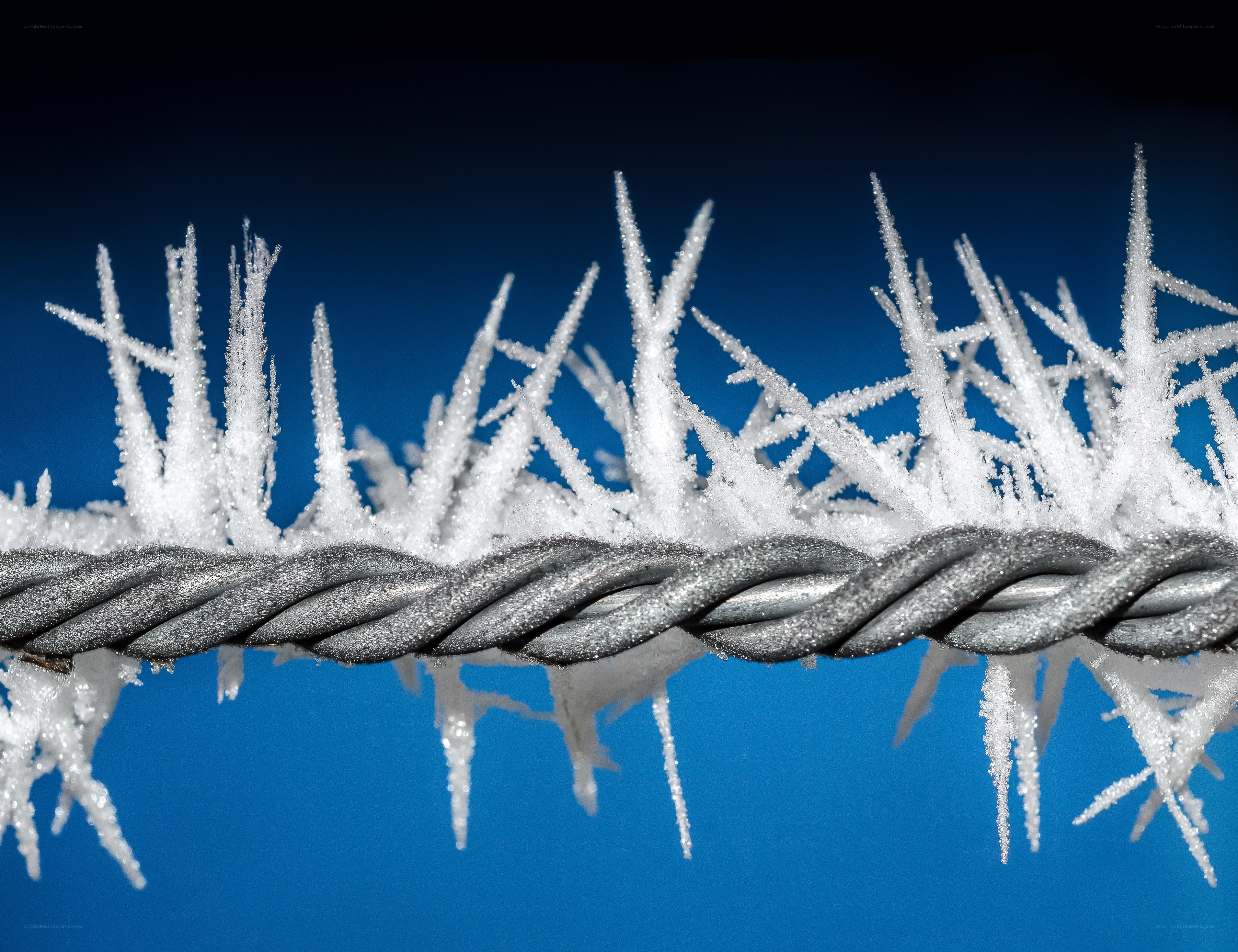 frozen rope with ice crystals