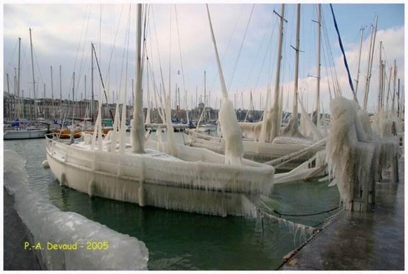 Frozen sailboats in harbor