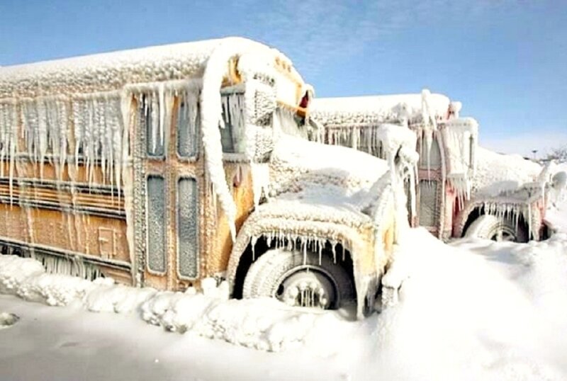 Frozen School Buses — White