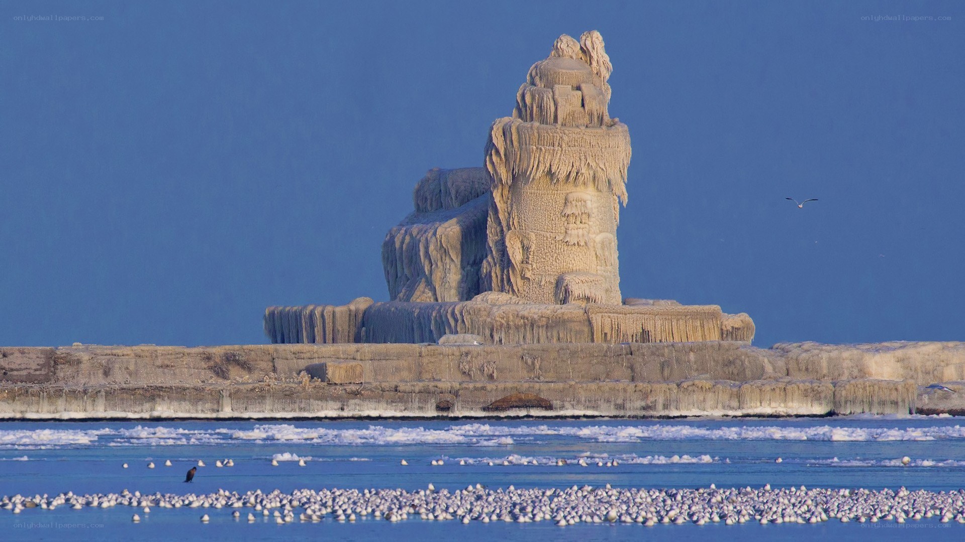 frozen sculpture on lake