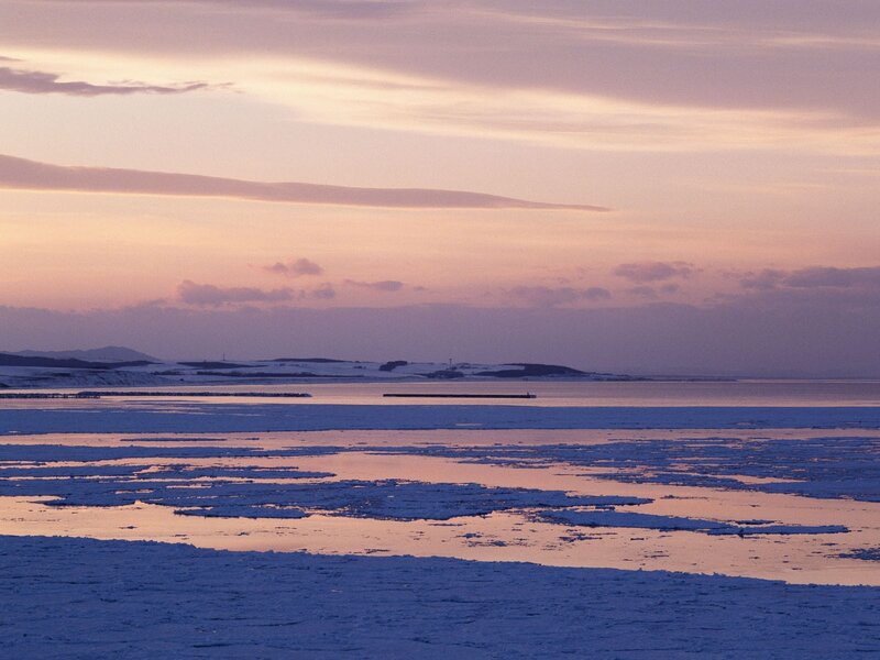 Frozen Sea at Dusk — Purple, Serene