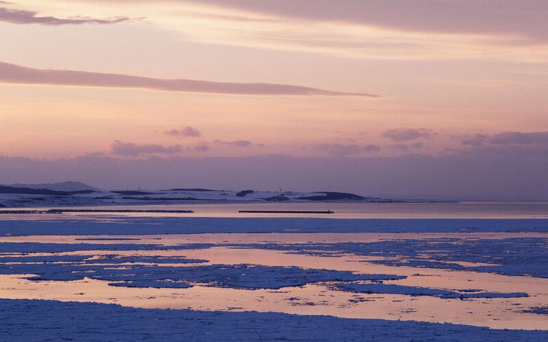 Frozen Sea at Dusk — Purple