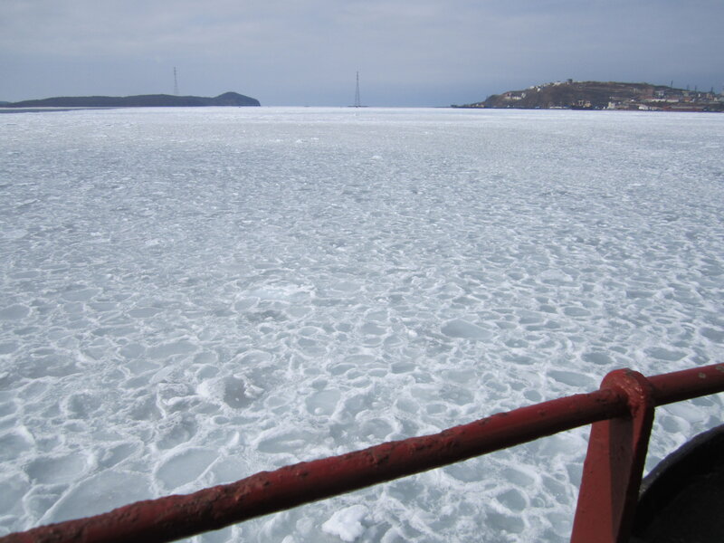 Frozen Sea Surface