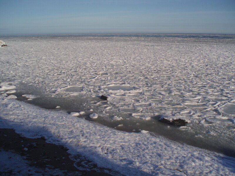 frozen sea with ice floes