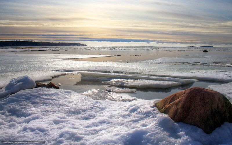 Frozen Sea with Ice Floes — White, Cold