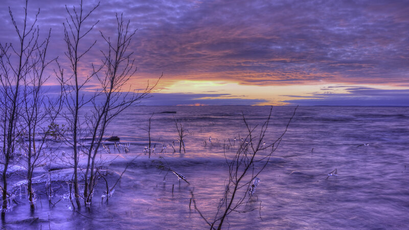 Frozen Shoreline at Sunset — Purple, Dramatic