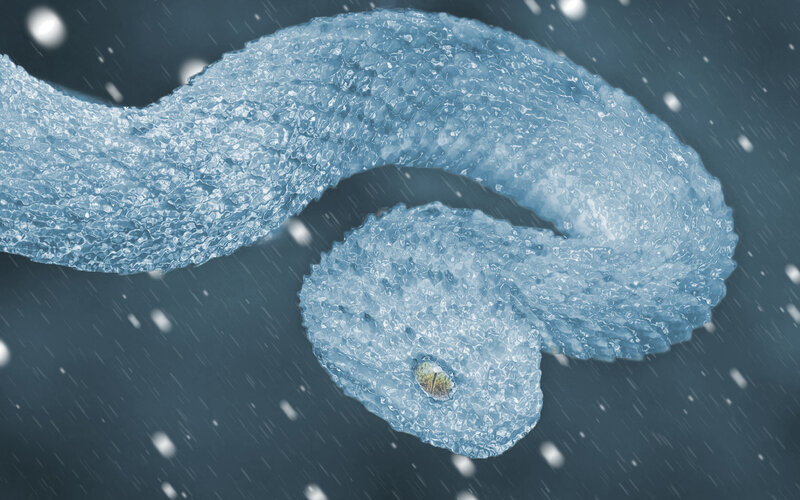 Frozen Snake in Snow
