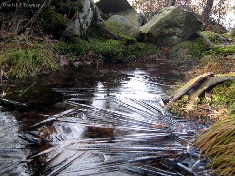 Frozen stream in forest