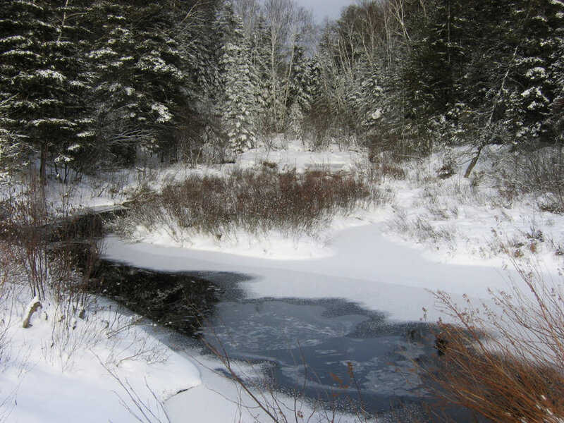 Frozen Stream in Forest — White, Cold
