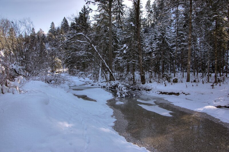 Frozen Stream in Forest — White, Serene