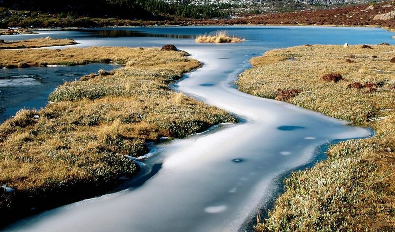 Frozen Stream in Marsh