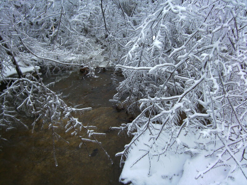 frozen stream in winter