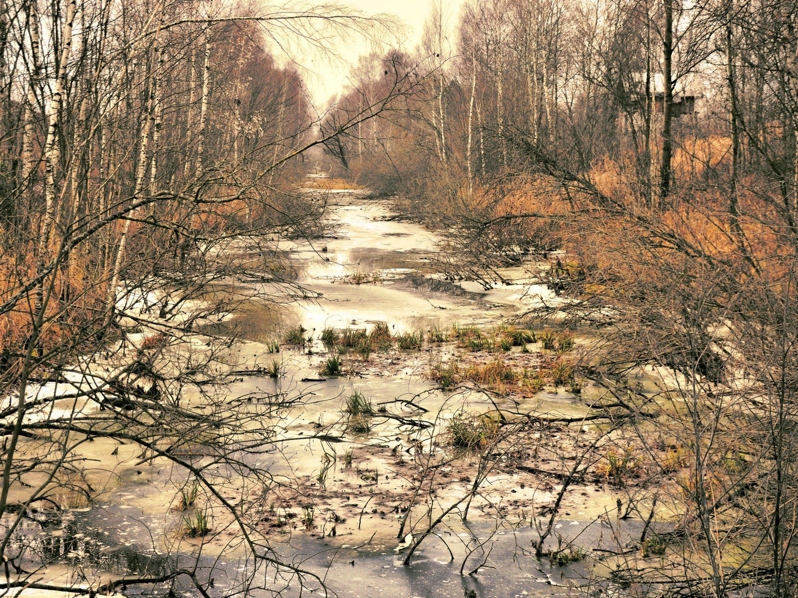 Frozen stream in winter forest