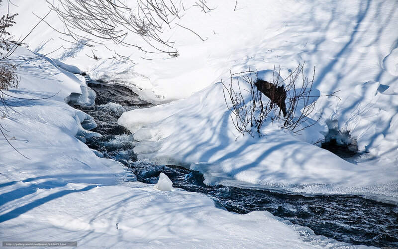 Frozen stream in winter landscape