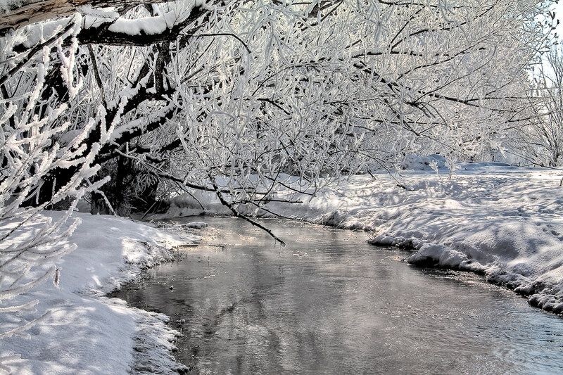 Frozen Stream in Winter — White