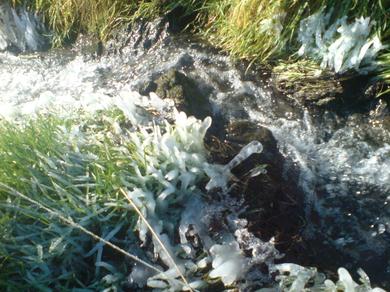 Frozen Stream with Grass
