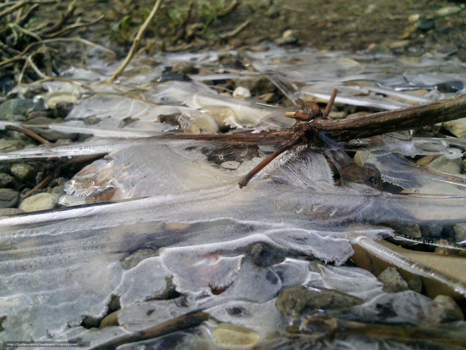 Frozen stream with ice and debris