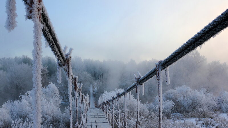 Frozen Suspension Bridge