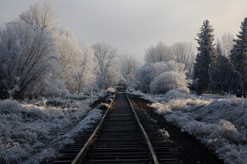 Frozen Train Tracks — White