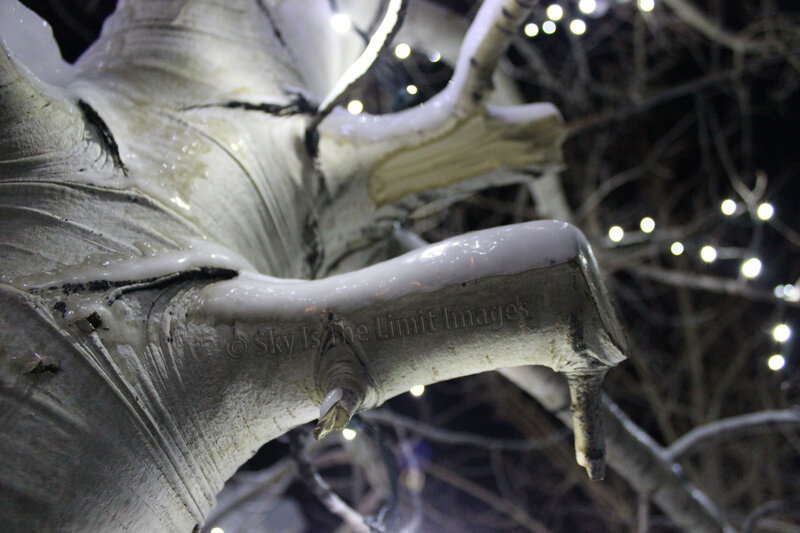 Frozen Tree Branch — White