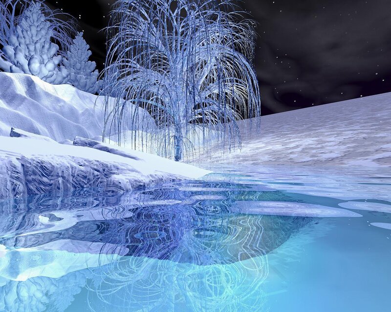Frozen Tree by Water