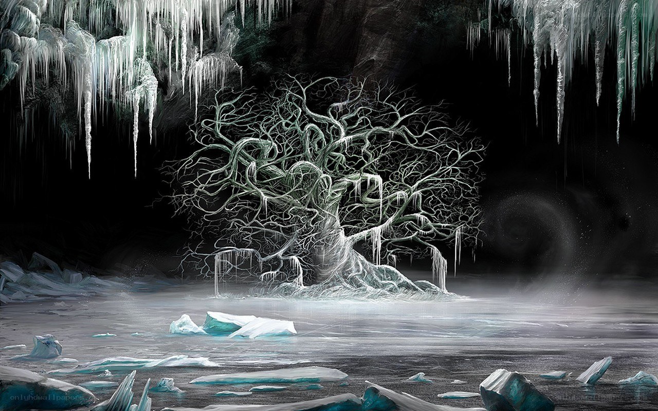 Frozen tree in icy cave