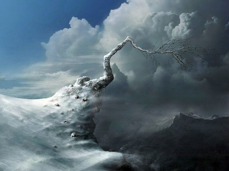 Frozen Tree on Cliff