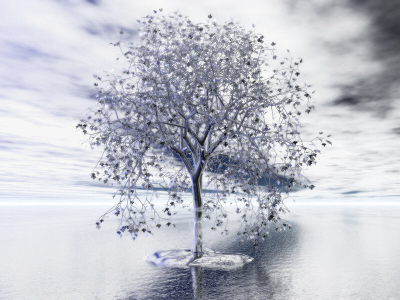 frozen tree on ice