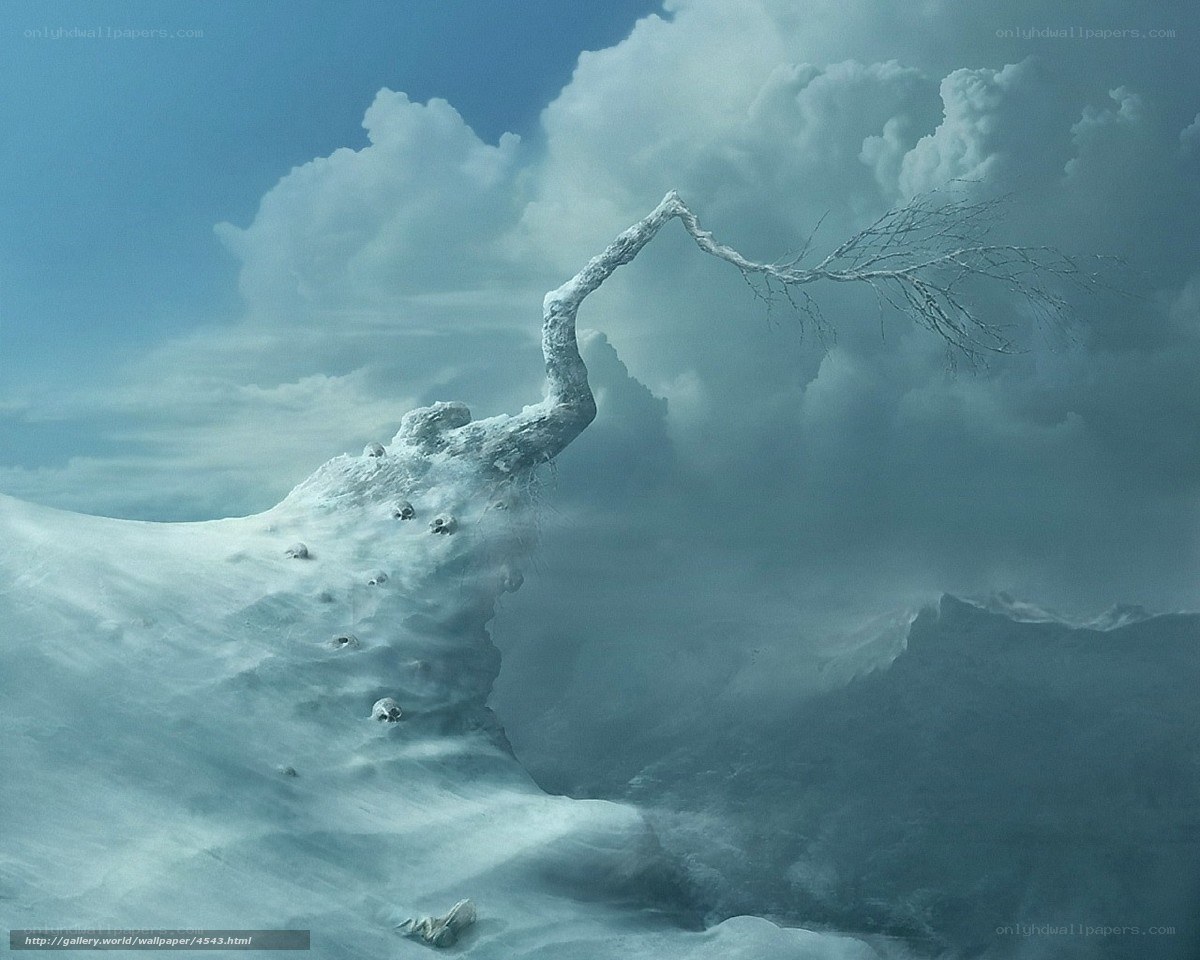 Frozen tree on snowy cliff