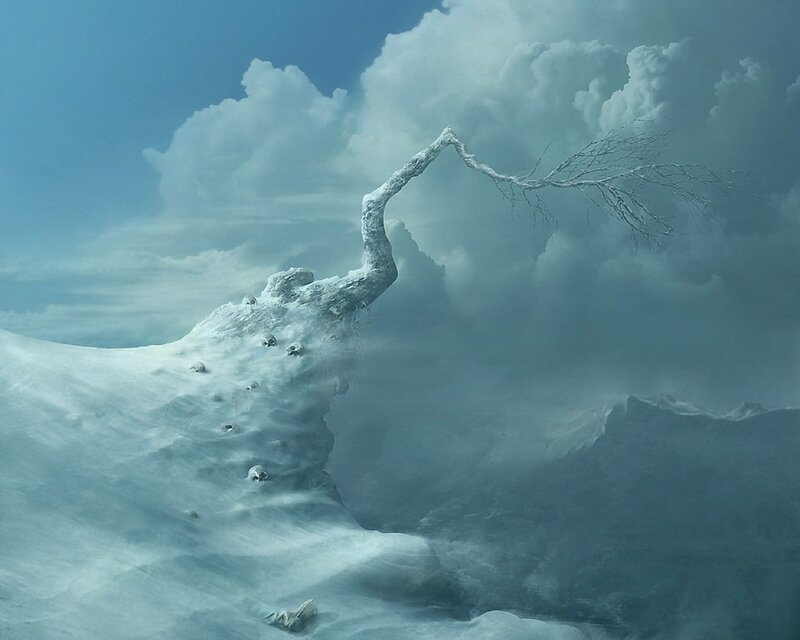 Frozen Tree on Snowy Peak