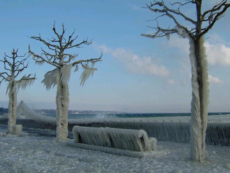 Frozen Trees and Bench