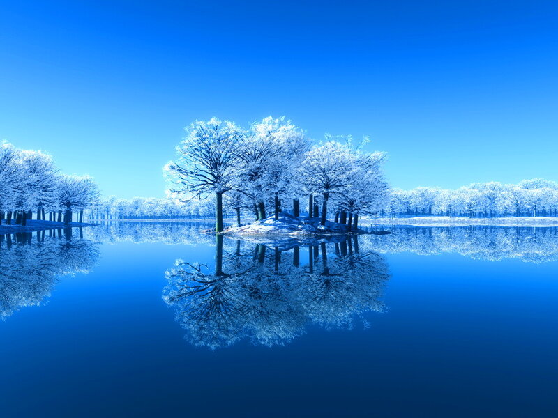 Frozen Trees in Lake — Blue