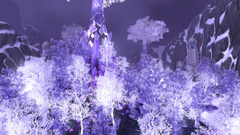 Frozen Trees in Landscape