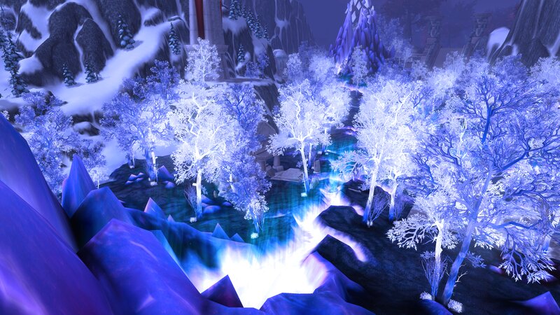 Frozen Trees in Valley