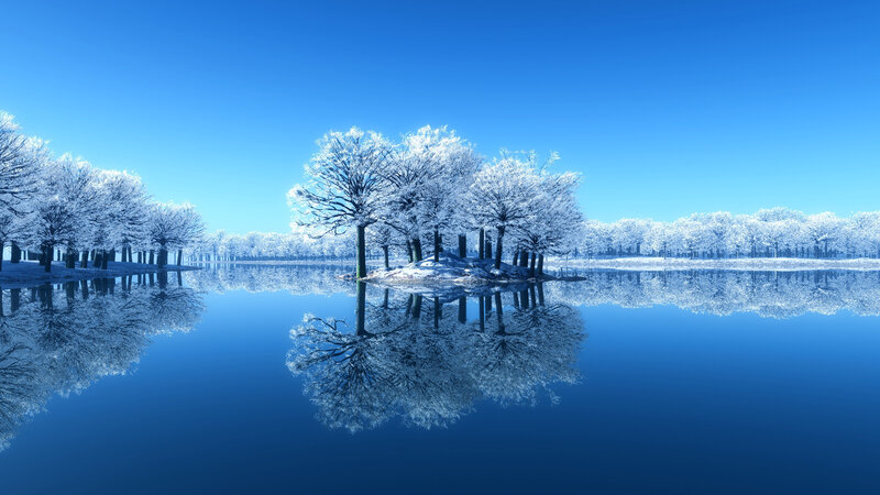 Frozen Trees on Island