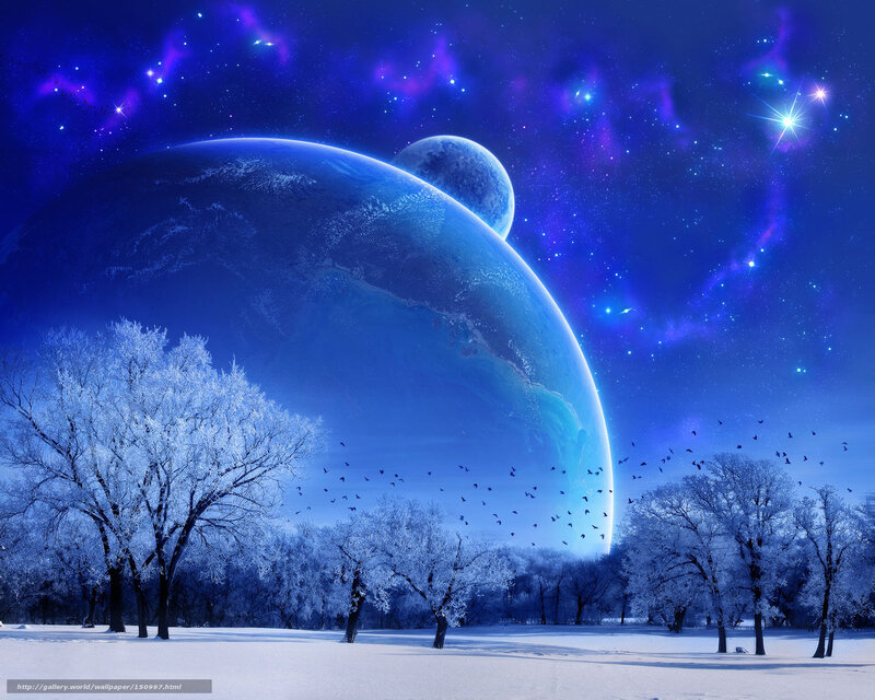 Frozen Trees under Alien Planet