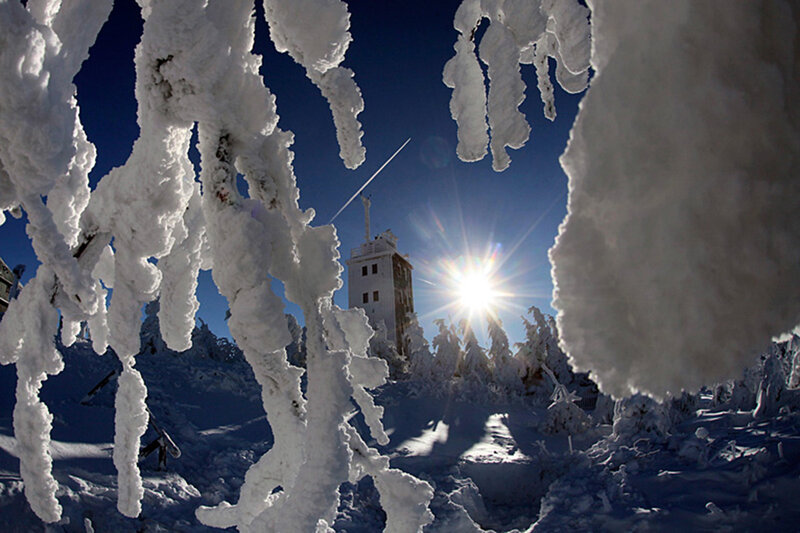 Frozen Trees with Tower
