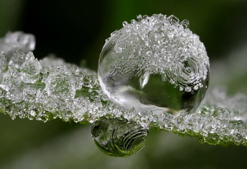 Frozen Water Droplet — Green