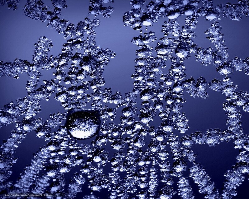 frozen water droplets