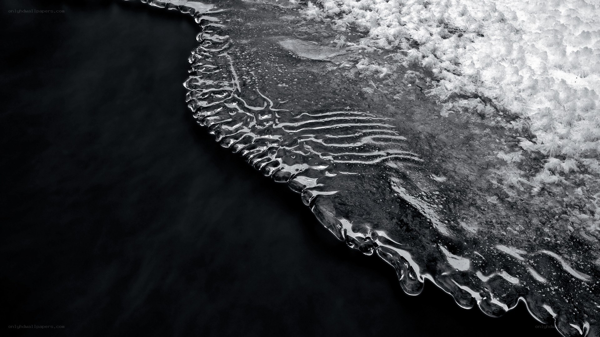 frozen water edge